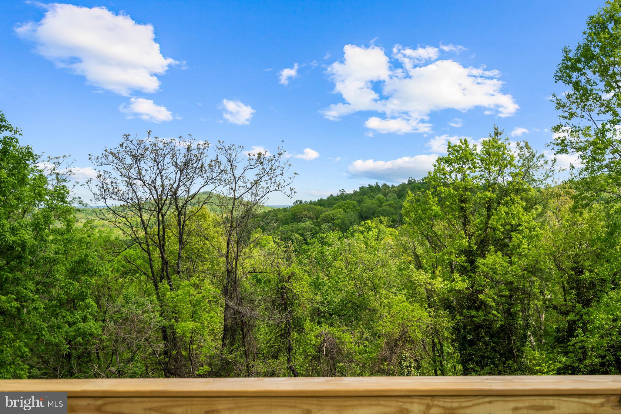 1550 Drummer Hill Road Front Royal, VA 22630 - Photo 12 of 50