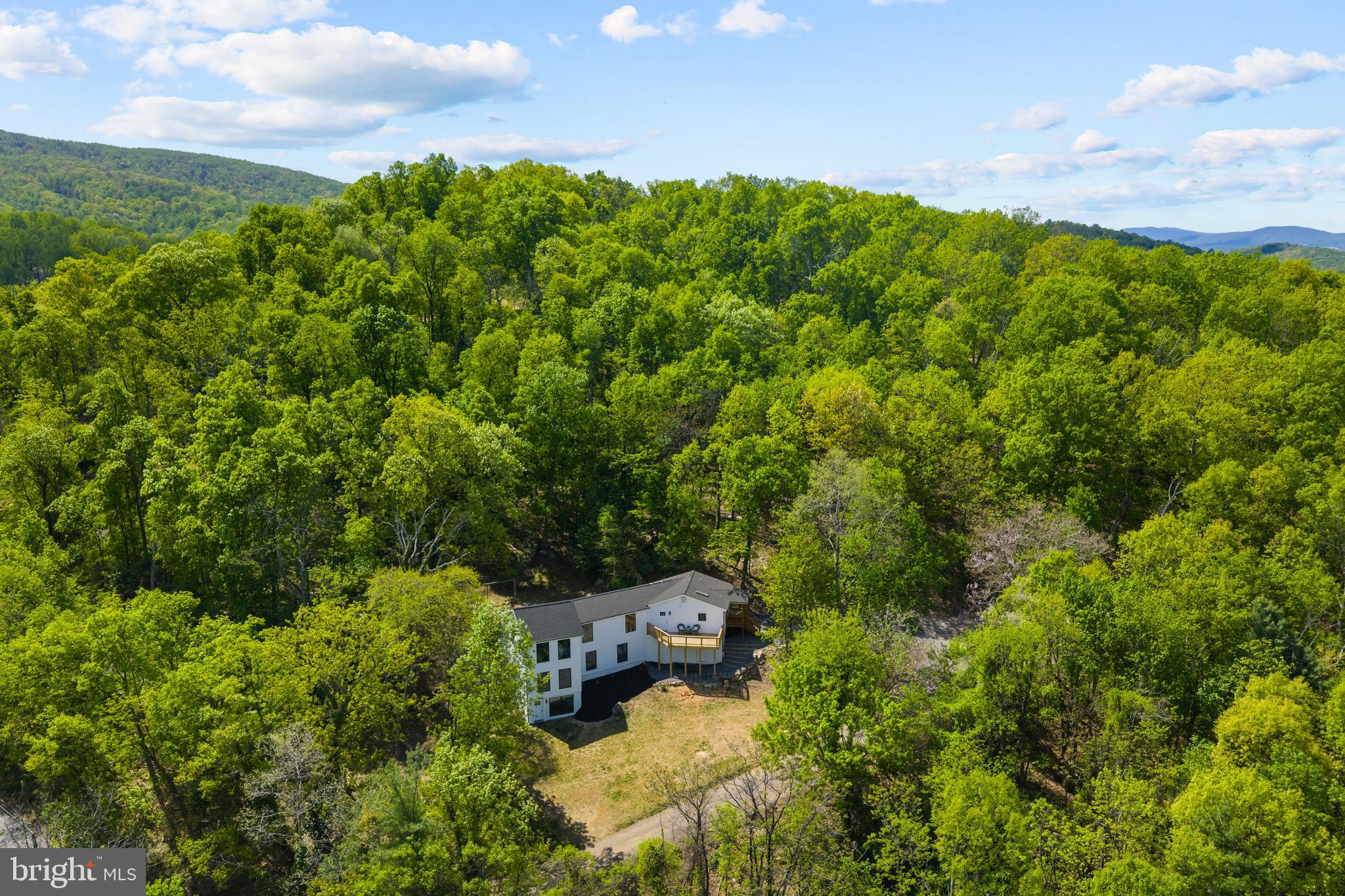 1550 Drummer Hill Road Front Royal, VA 22630 - Photo 5 of 49 a view of a bunch of trees and bushes