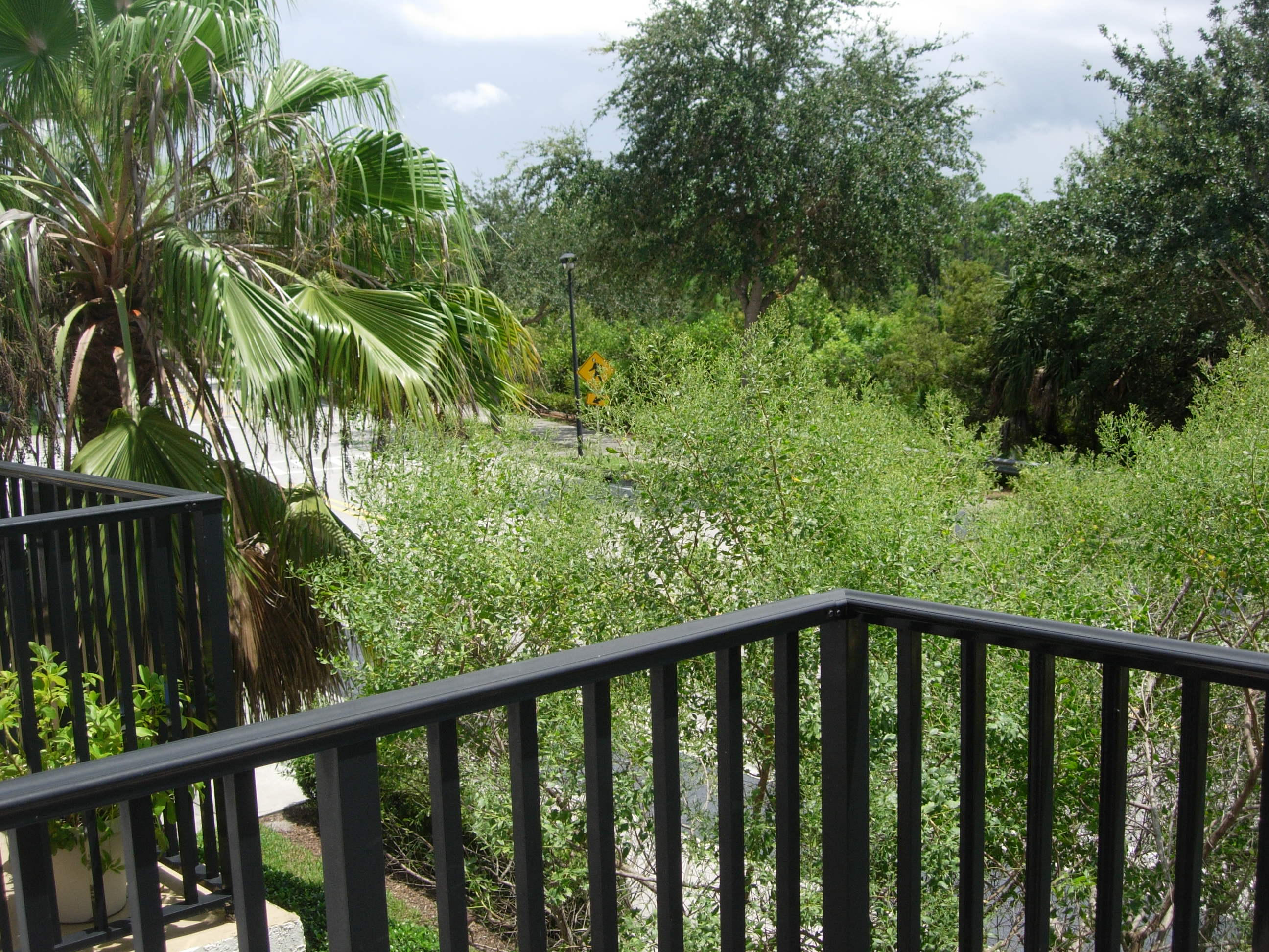 413 School House Road Jupiter, FL 33458 - Photo 11 of 45 413 Schoolhouse Balcony View to Left