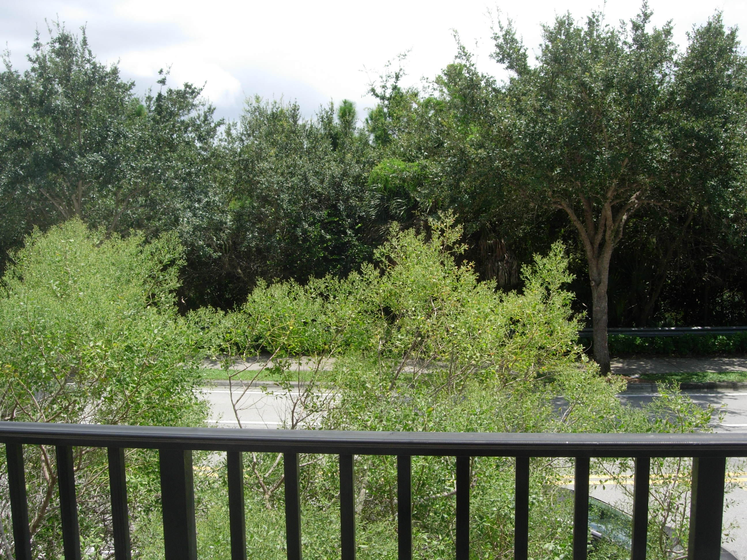 413 School House Road Jupiter, FL 33458 - Photo 12 of 45 413 Schoolhouse - Balcony View Center
