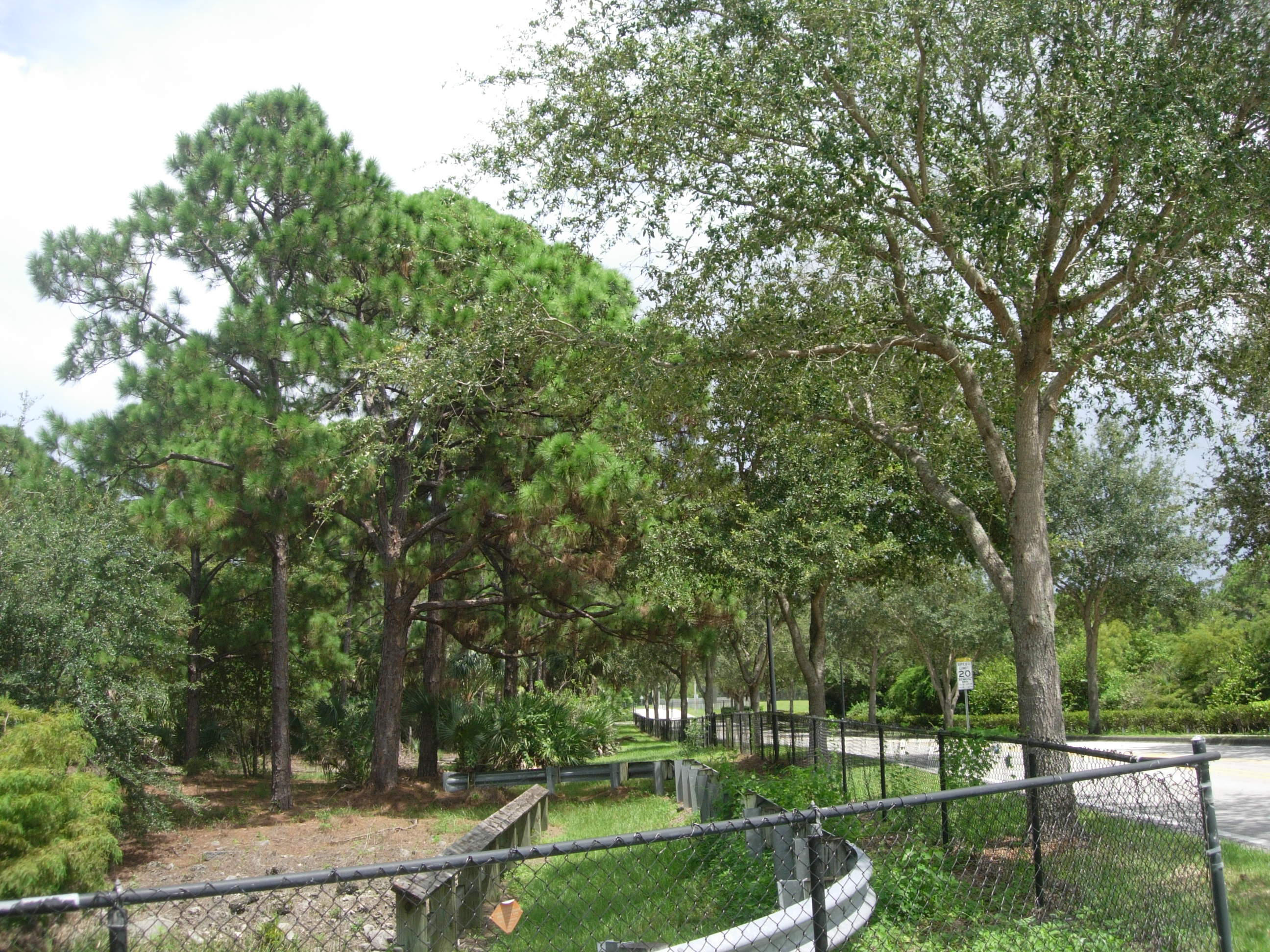 413 School House Road Jupiter, FL 33458 - Photo 38 of 45 413 Schoolhouse - Preserve