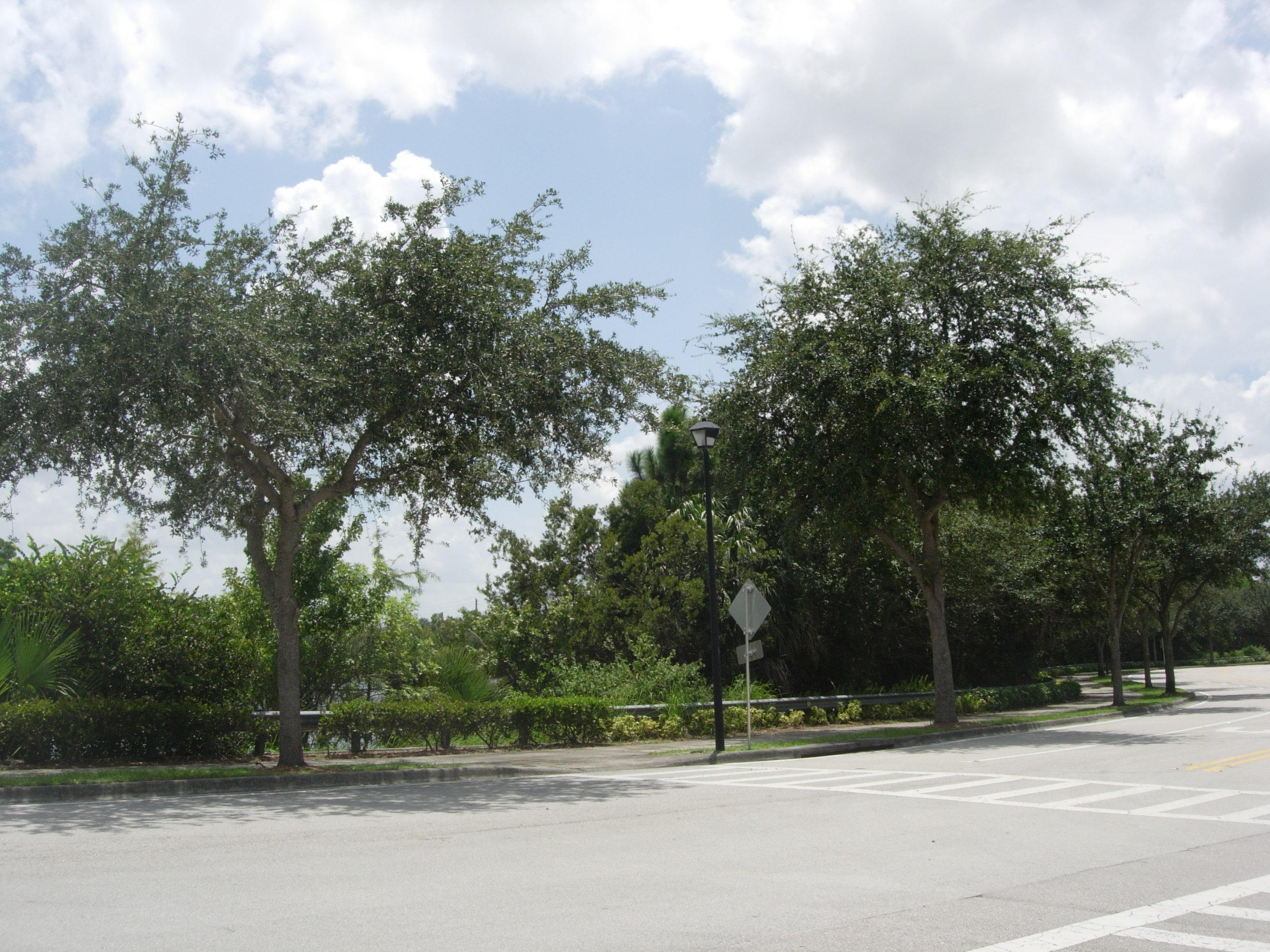 413 School House Road Jupiter, FL 33458 - Photo 39 of 45 413 Schoolhouse- Street View
