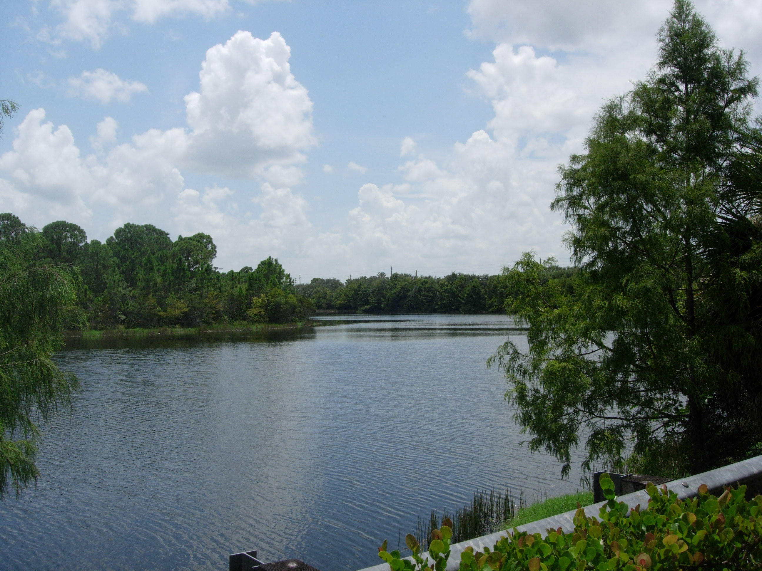 413 School House Road Jupiter, FL 33458 - Photo 4 of 45 413 Schoolhouse - Lake Views Beyond