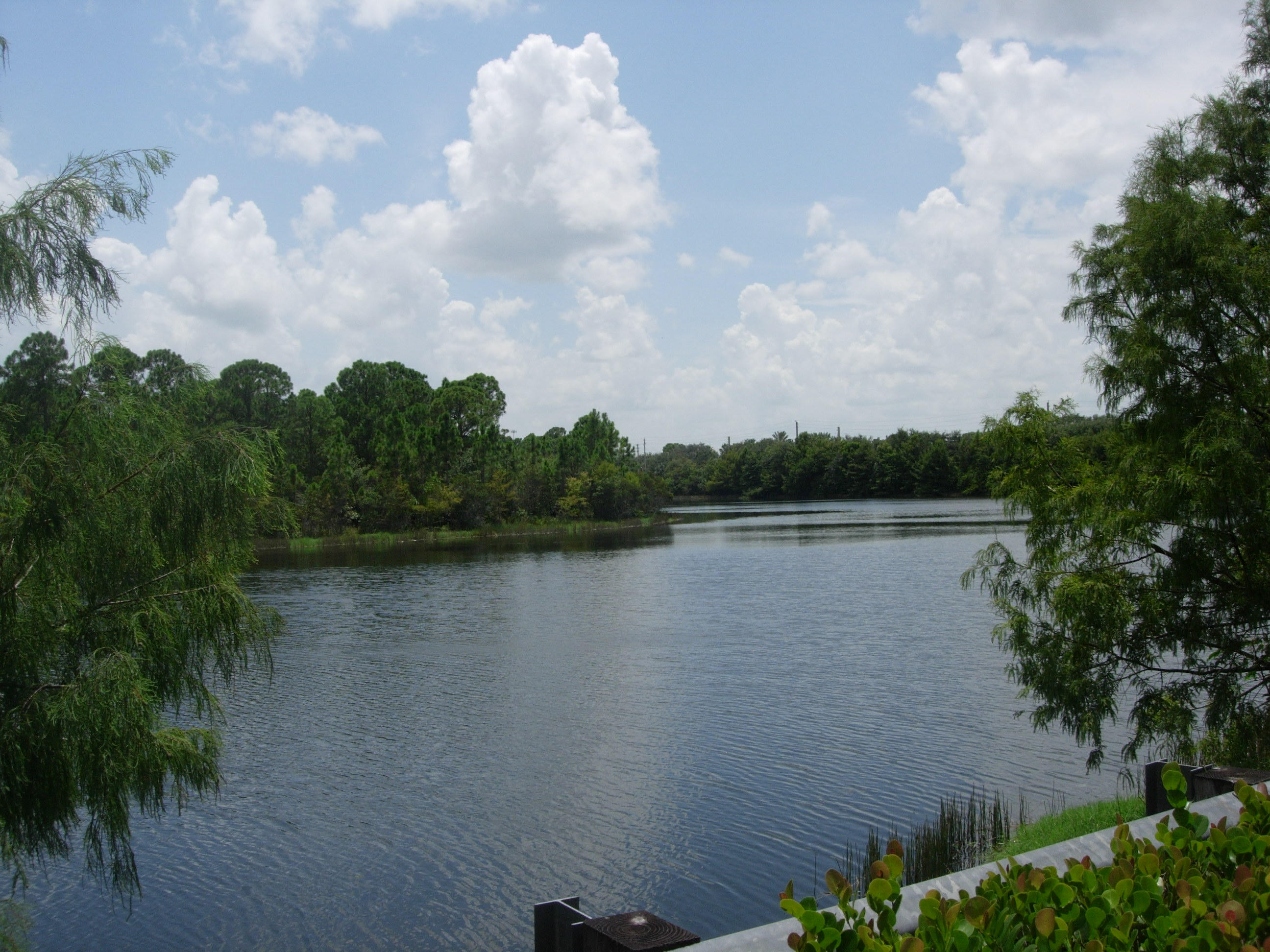 413 School House Road Jupiter, FL 33458 - Photo 5 of 45 413 Schoolhouse - Lake