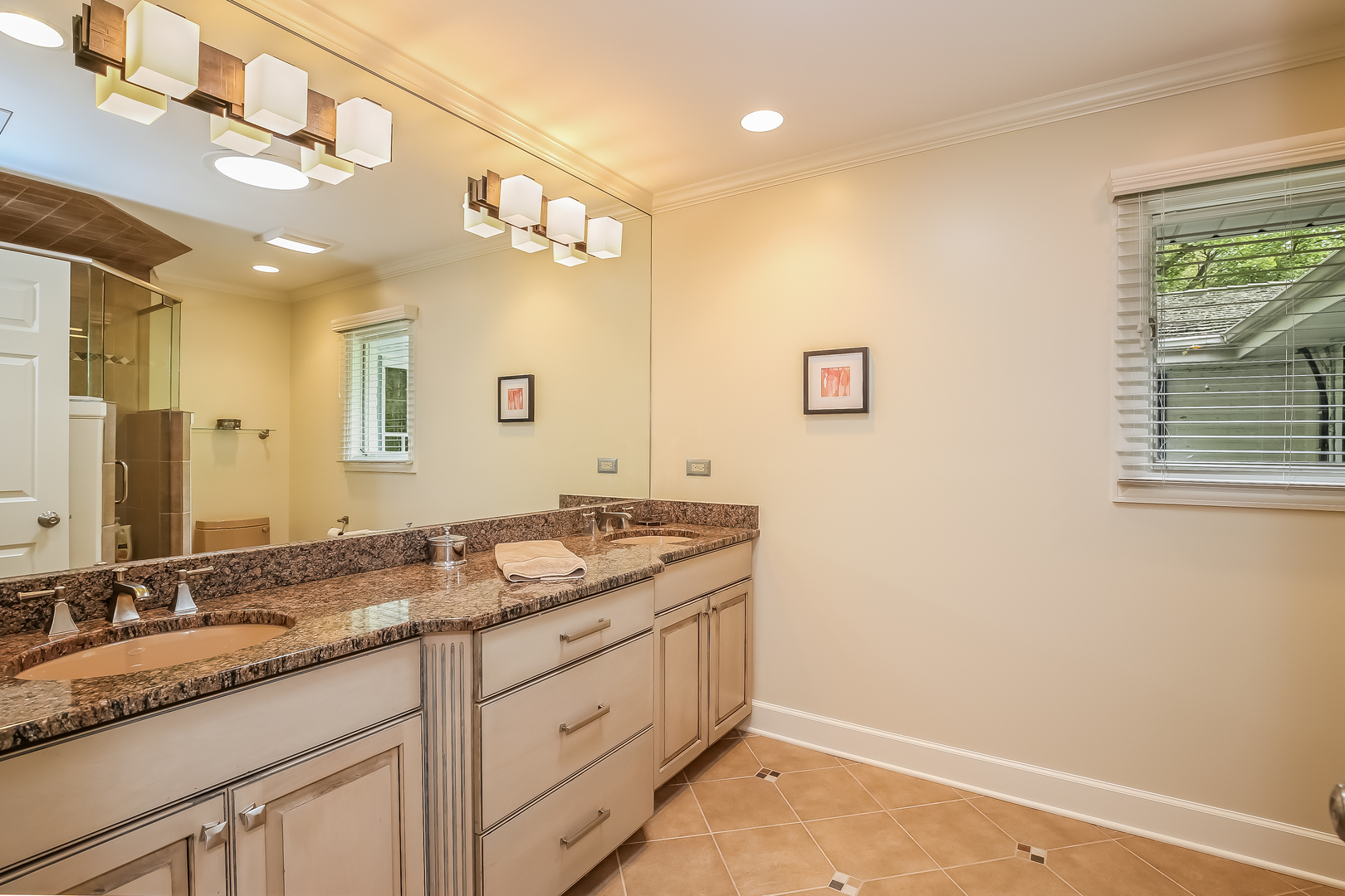 1020 East Westleigh Road Lake Forest, IL 60045 - Photo 18 of 31 a bathroom with a granite countertop sink and a mirror