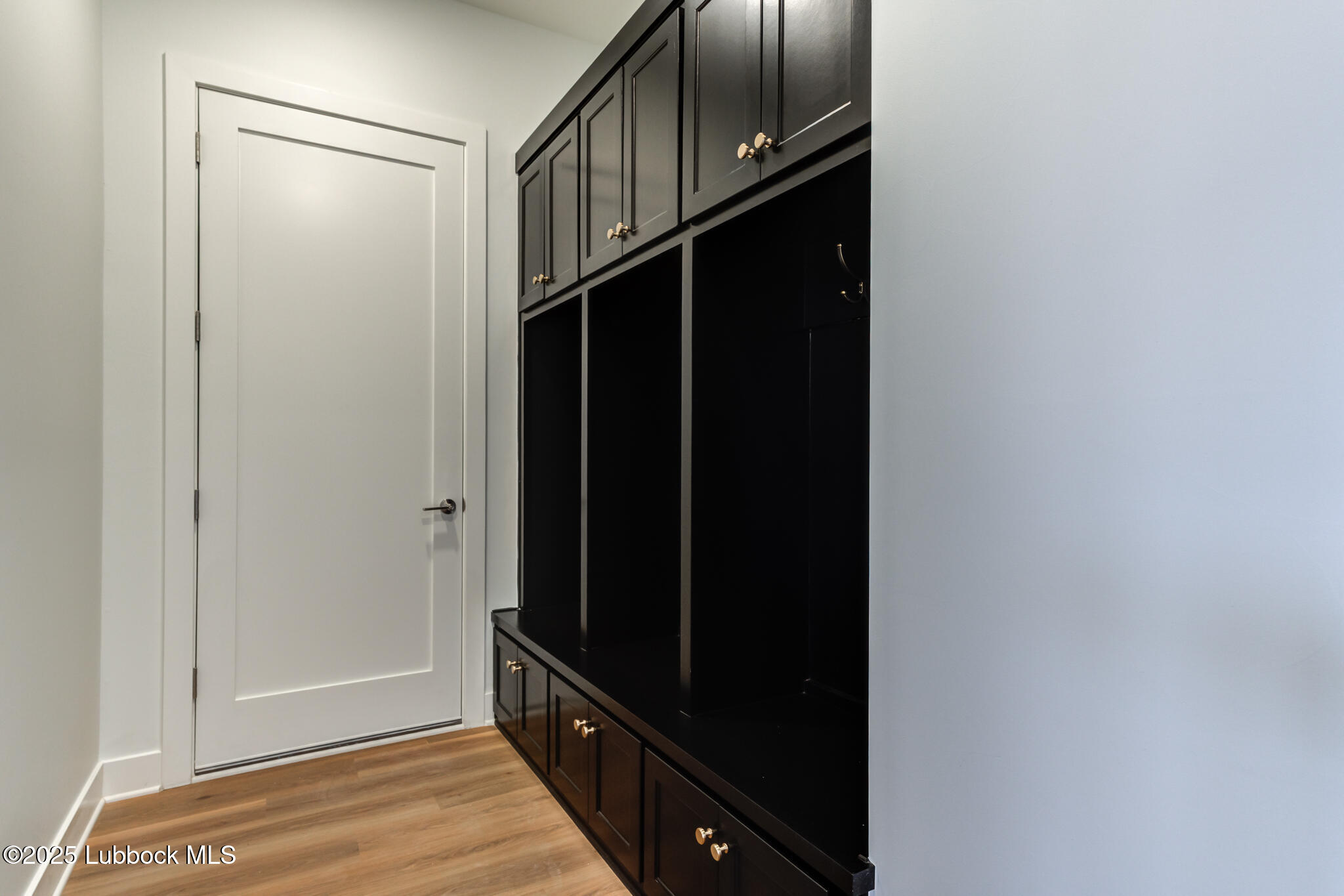 4617 138th Place Lubbock, TX 79424 - Photo 51 of 56 DSC00933_4_5