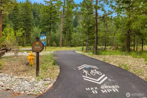 a view of a park with large trees