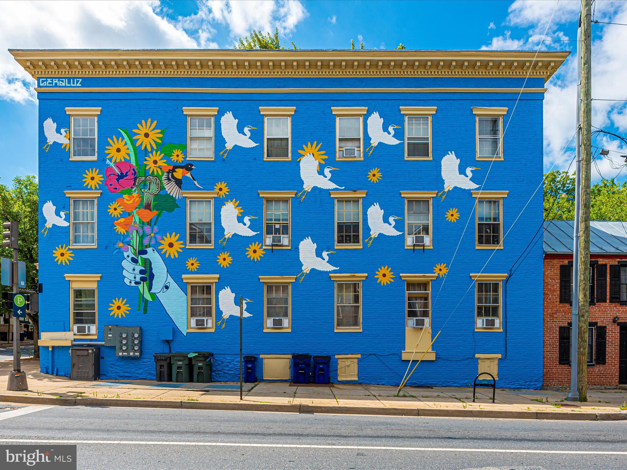 514 Elm Street Frederick, MD 21701 - Photo 72 of 84 Downtown