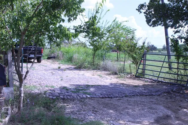 a view of backyard with green space