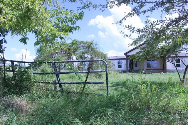 a view of a yard with plants and trees