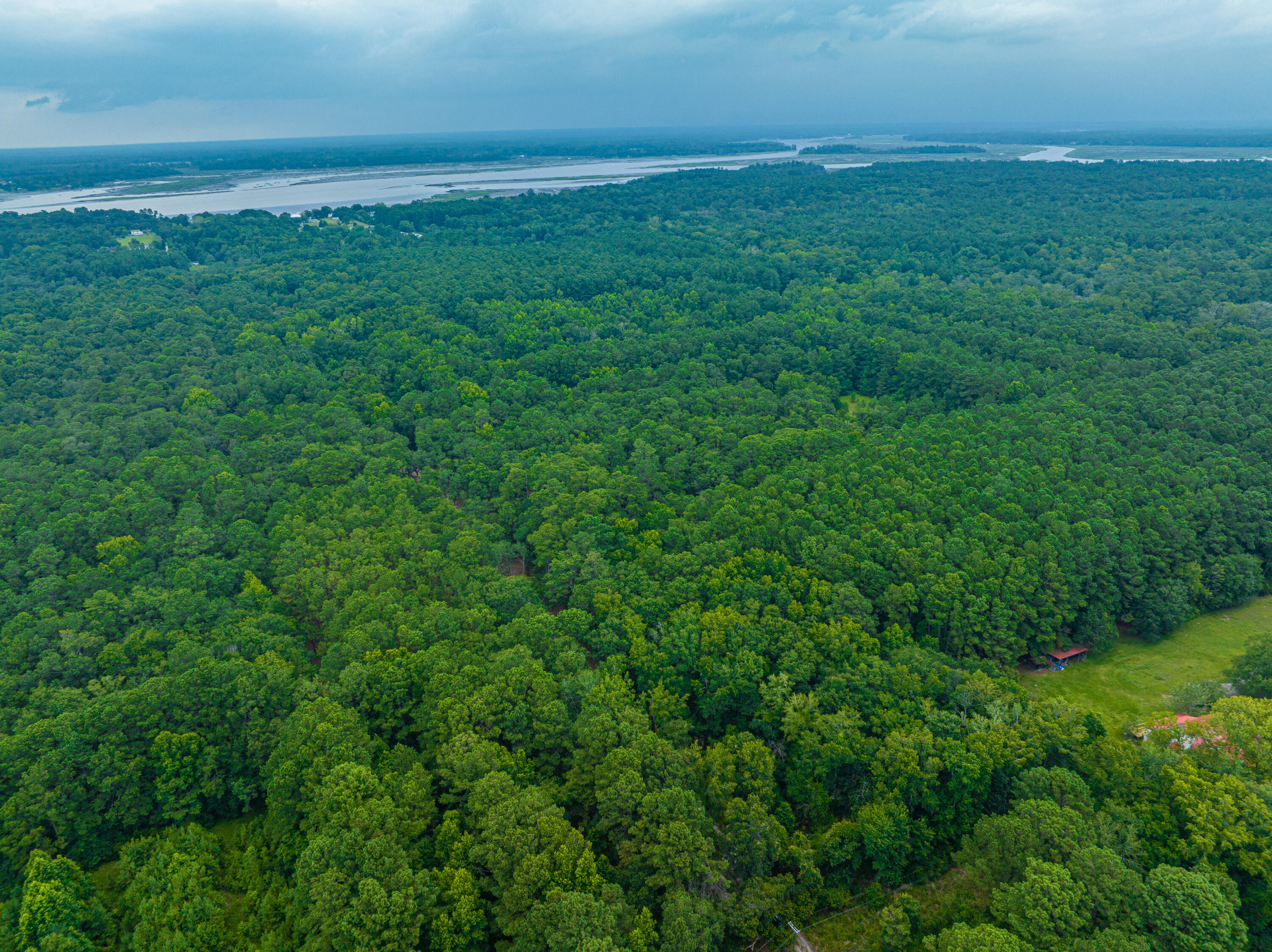 0 Back-A-Wood Road Wadmalaw Island, SC 29487 - Photo 2 of 11 DJI_0650