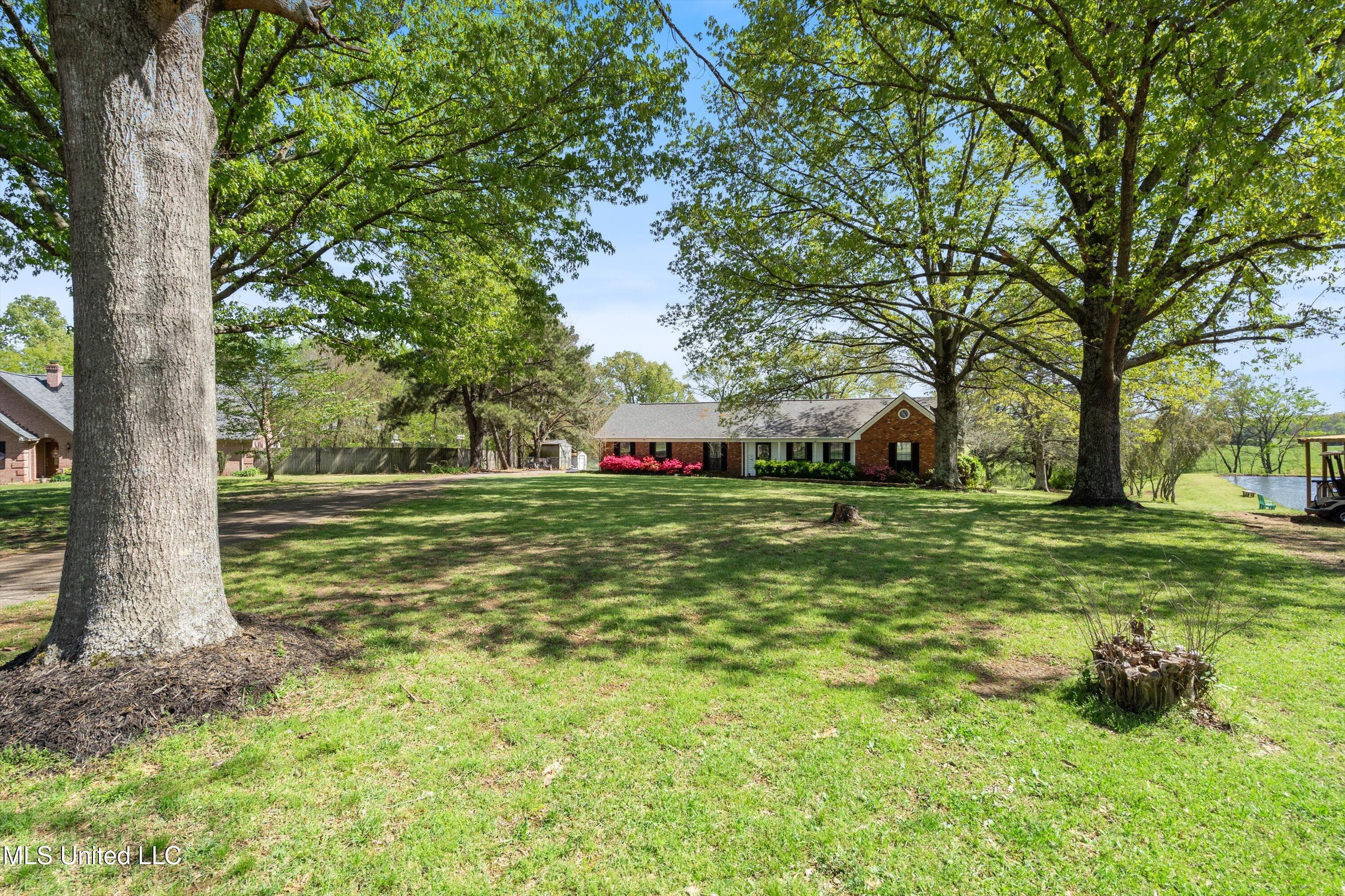 444 Shaker Drive Senatobia, MS 38668 - Photo 3 of 31 03-DSC3389