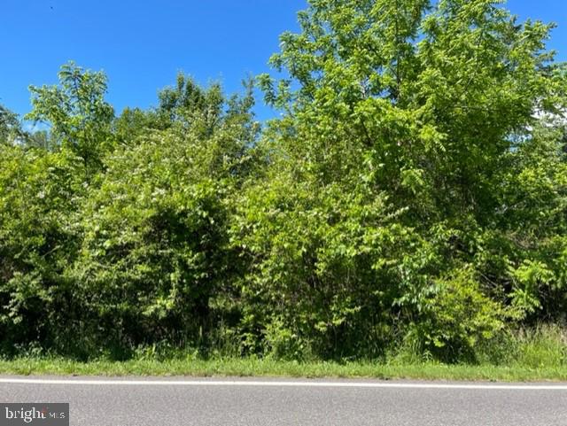 Monrovia Road Orange, VA 22960 - Photo 7 of 12