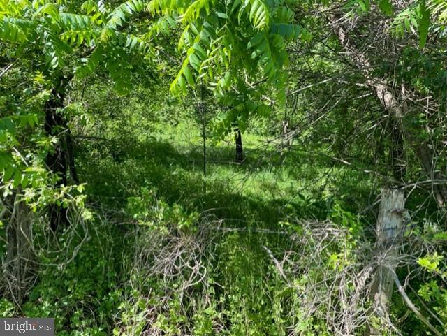 Monrovia Road Orange, VA 22960 - Photo 10 of 12