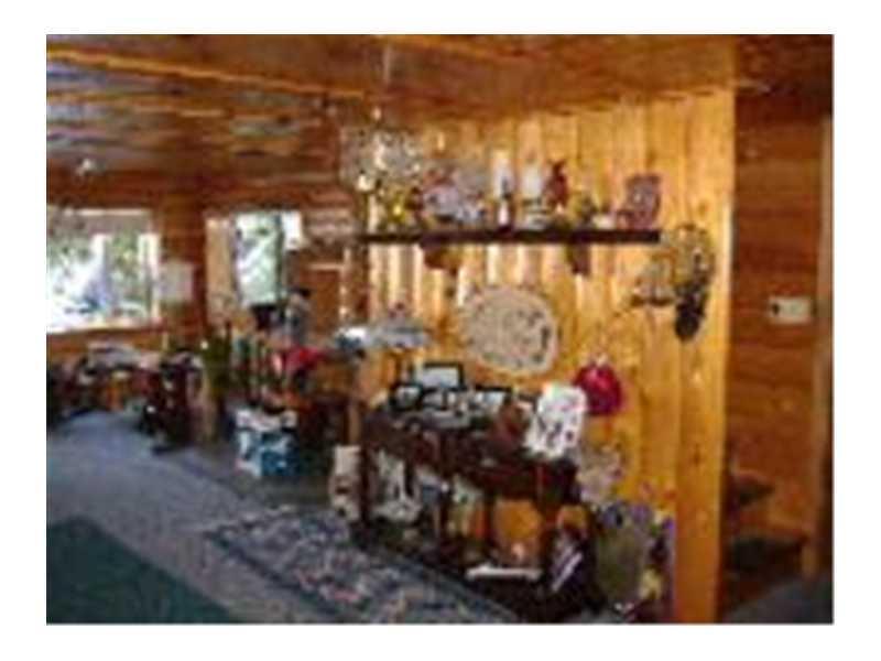 343 Turkey Tail Road Millinocket, ME 04462 - Photo 10 of 23 Living Room. East Wall and front