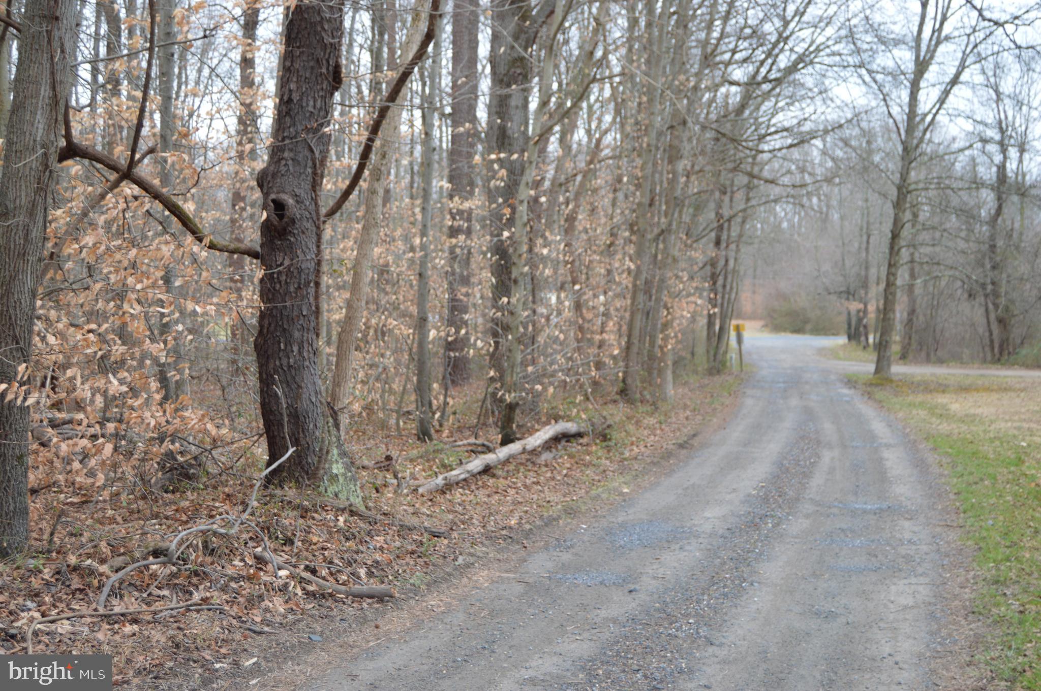 Brownsville Road Centreville, MD 21617 - Photo 5 of 5 Property on the left