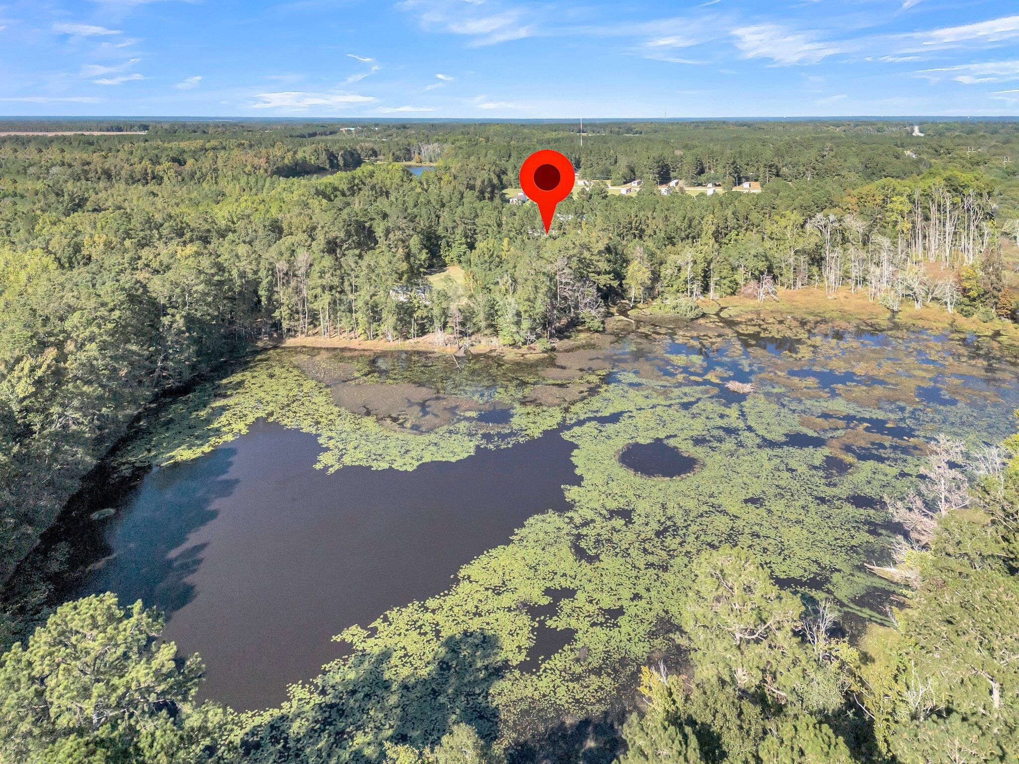 579 Binnicker Bridge Road Cordova, SC 29039 - Photo 59 of 94 CREM - 579 Binnicker Bridge Rd-30
