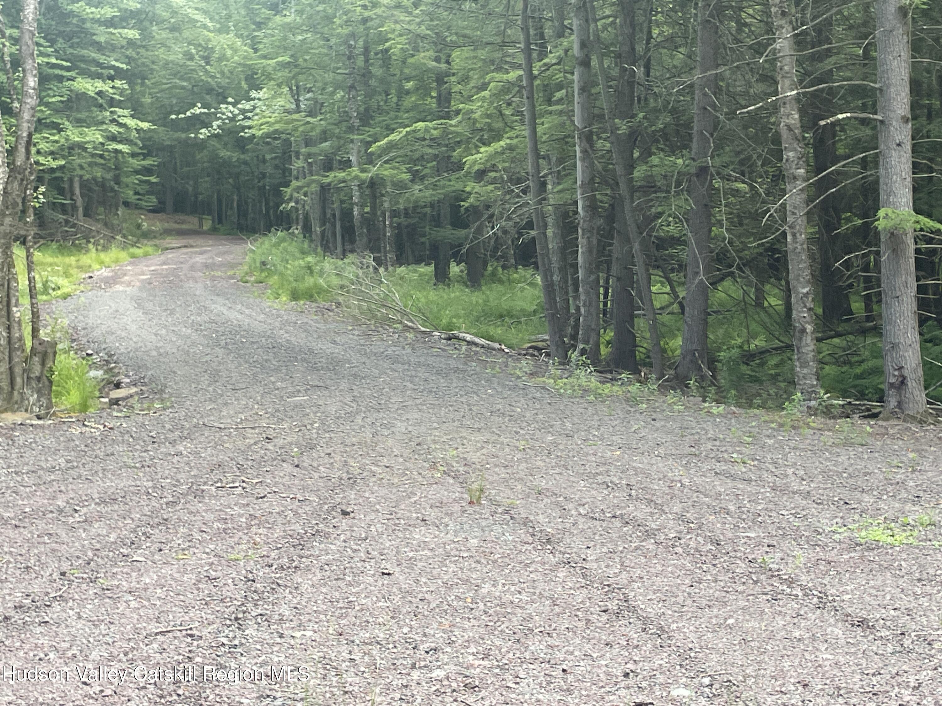 Tbd Boulder Brook Road Windham, NY 12496 - Photo 57 of 57 IMG_0612