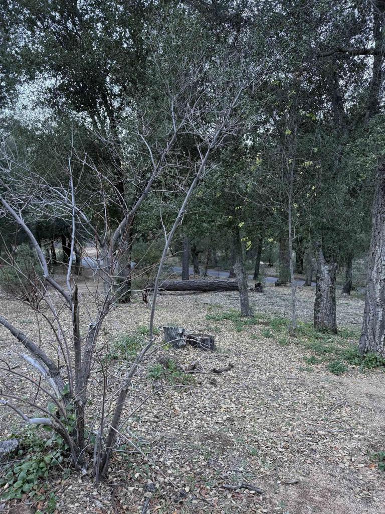 9150- Pine Creek Road, Unit 37 Pine Valley, CA 91962 - Photo 42 of 47