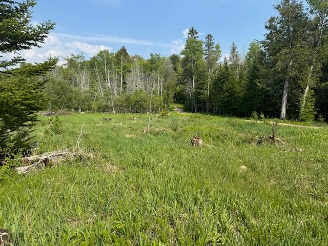 0 North Co Road McMillan, MI 49853 - Photo 23 of 41 Gallery Image 23