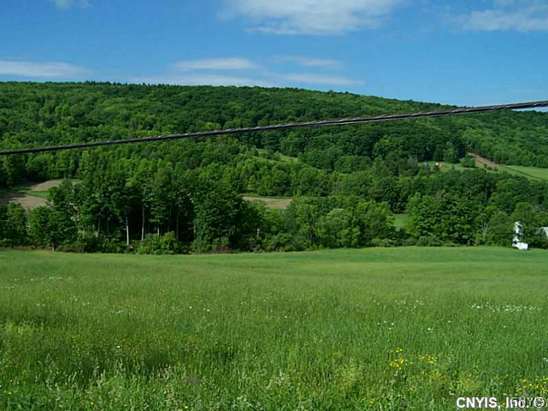 Lot 4 South Hill Road De Ruyter, NY 13052 - Photo 1 of 1 Land/Lot.