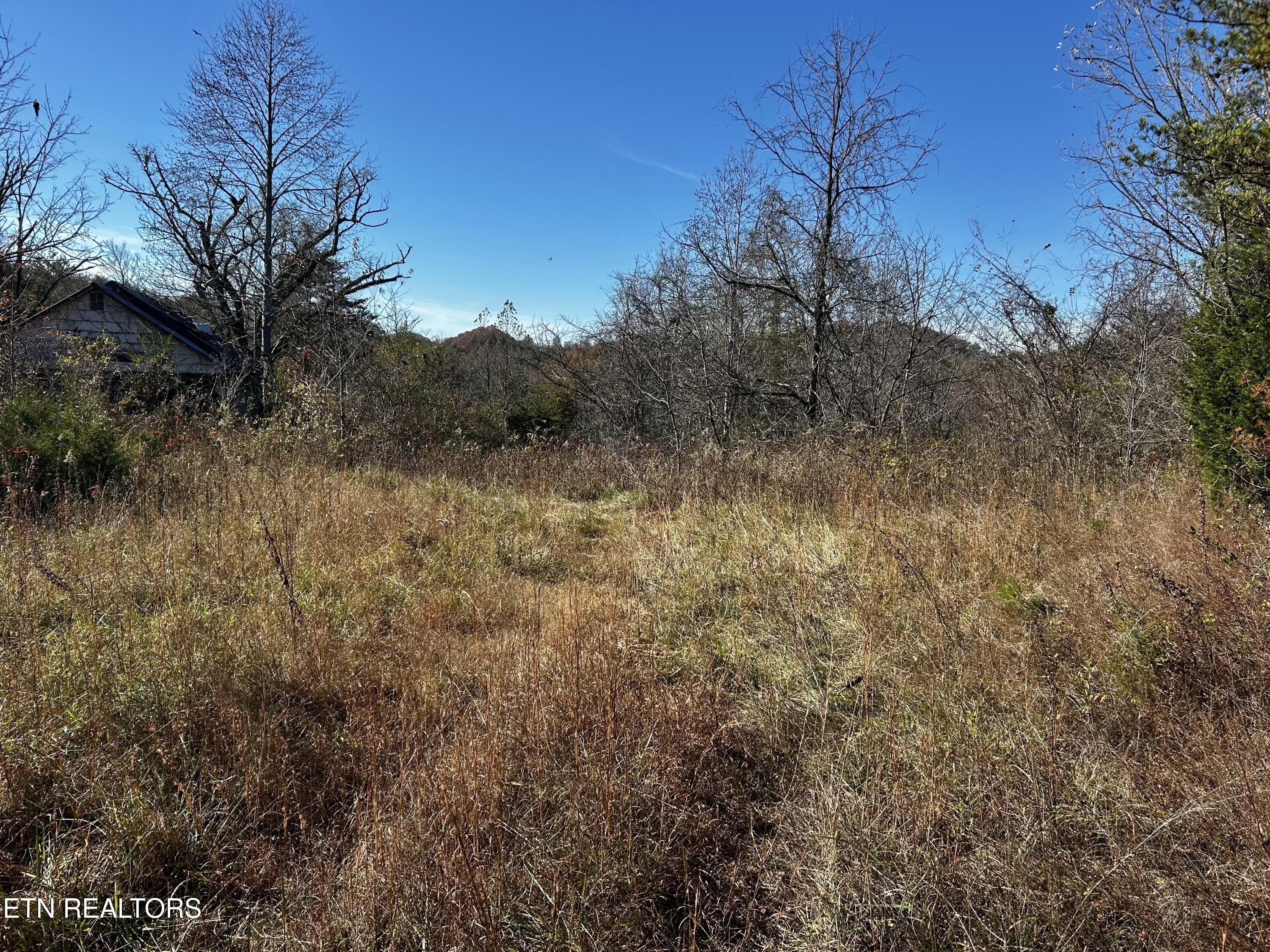 Shaddon Road Tellico Plains, TN 37385 - Photo 1 of 5 IMG_7642