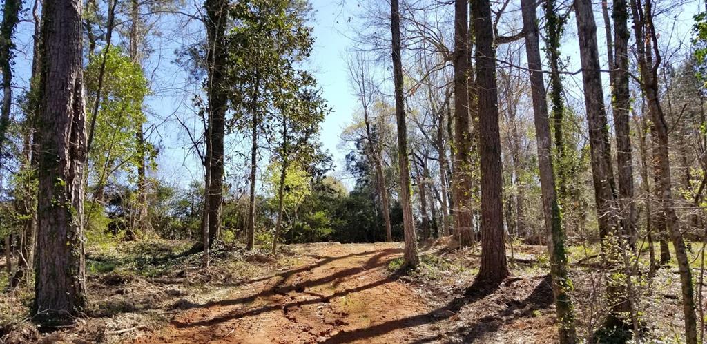 Tbd West Roy Parker Road Ozark, AL 36360 - Photo 1 of 6