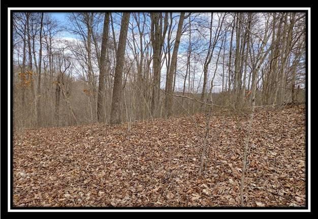 500 Raysville Road Jackson, OH 45640 - Photo 5 of 34 image005