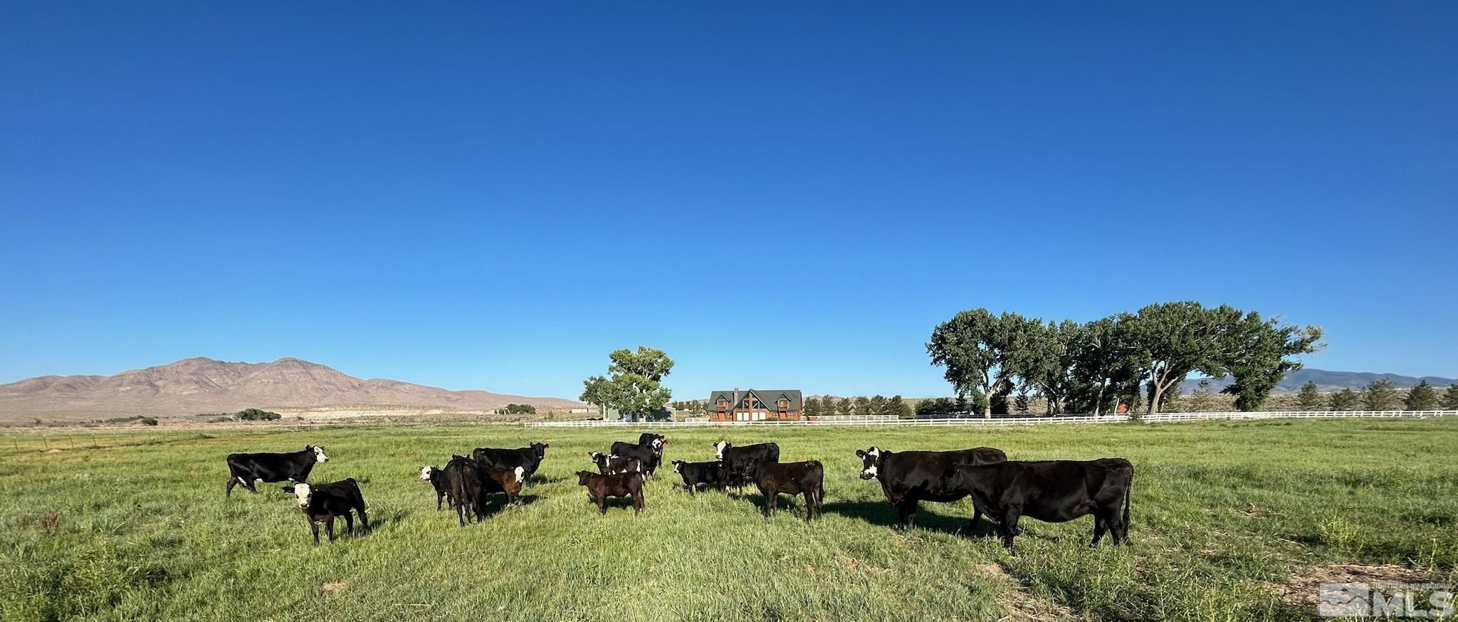 250 Olson Rnch Road Smith, NV 89430 - Photo 2 of 38 a view of a garden with an outdoor space