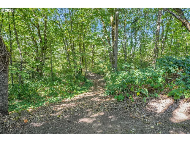 a view of a car garage