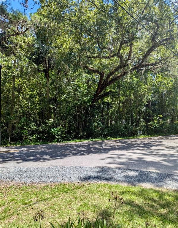a view of a yard with plants