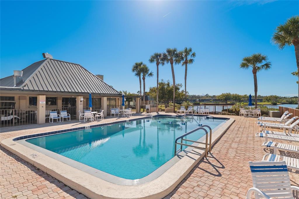 4409 Summersun Drive New Port Richey, FL 34652 - Photo 18 of 23 a view of a swimming pool with lounge chairs