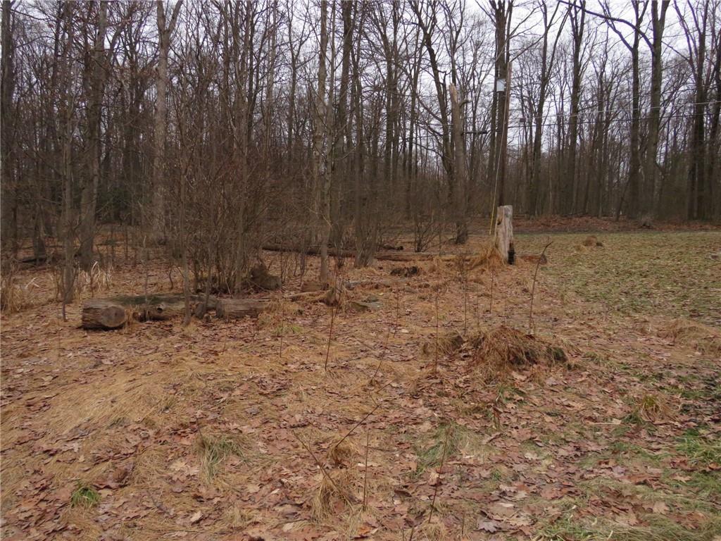 238 Horse Shoe Bend Road Acme, PA 15610 - Photo 28 of 31