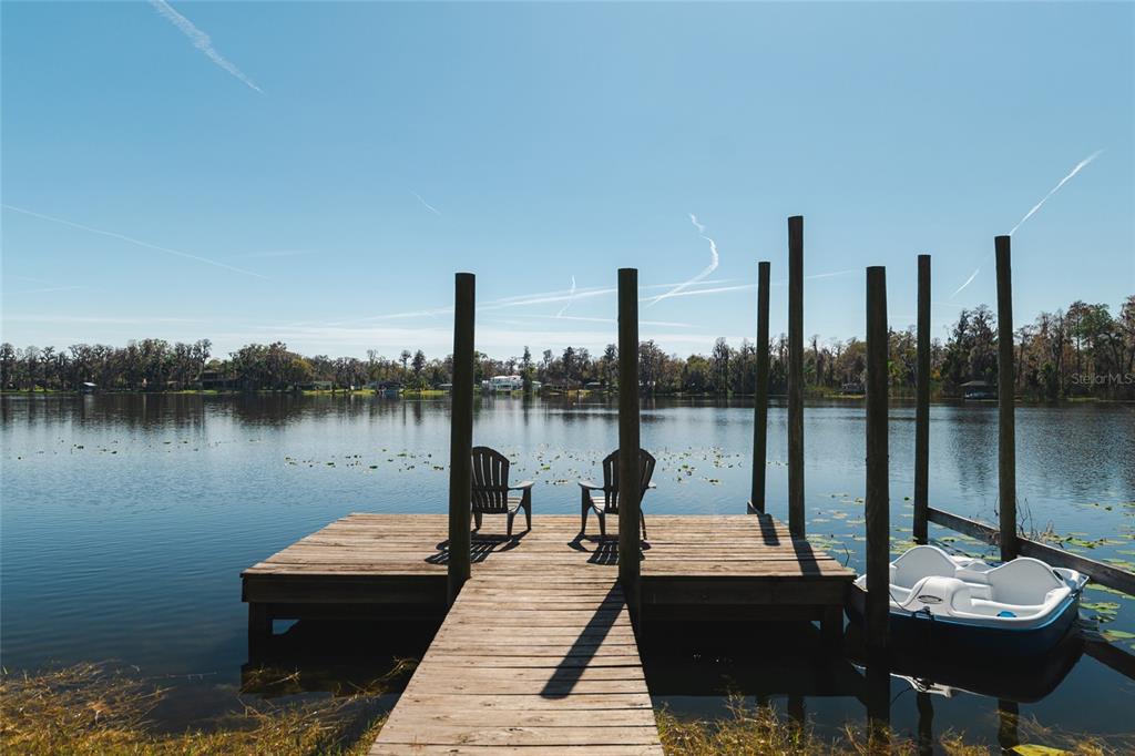 602 Druid Way Lutz, FL 33548 - Photo 60 of 81