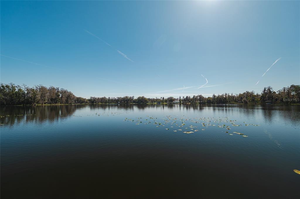 602 Druid Way Lutz, FL 33548 - Photo 61 of 81