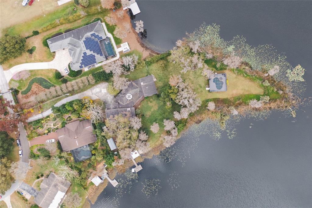 602 Druid Way Lutz, FL 33548 - Photo 75 of 81