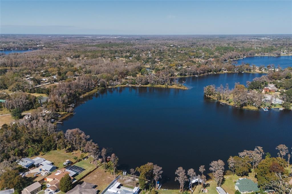 602 Druid Way Lutz, FL 33548 - Photo 79 of 81