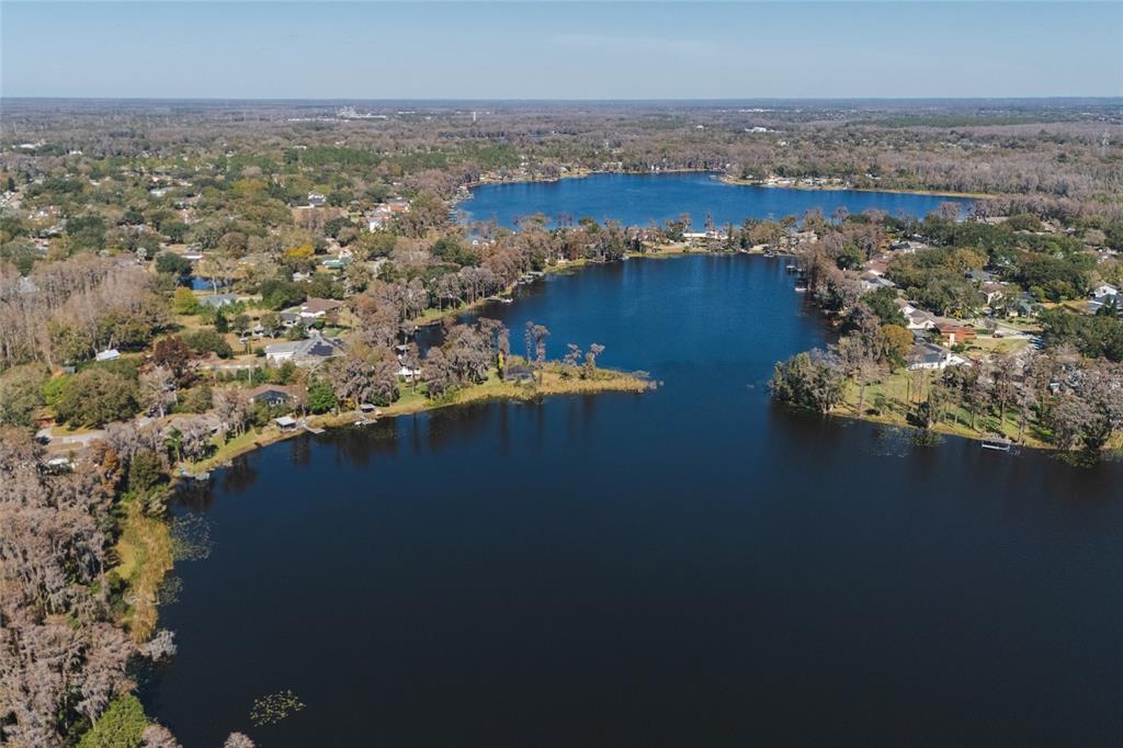 602 Druid Way Lutz, FL 33548 - Photo 80 of 81