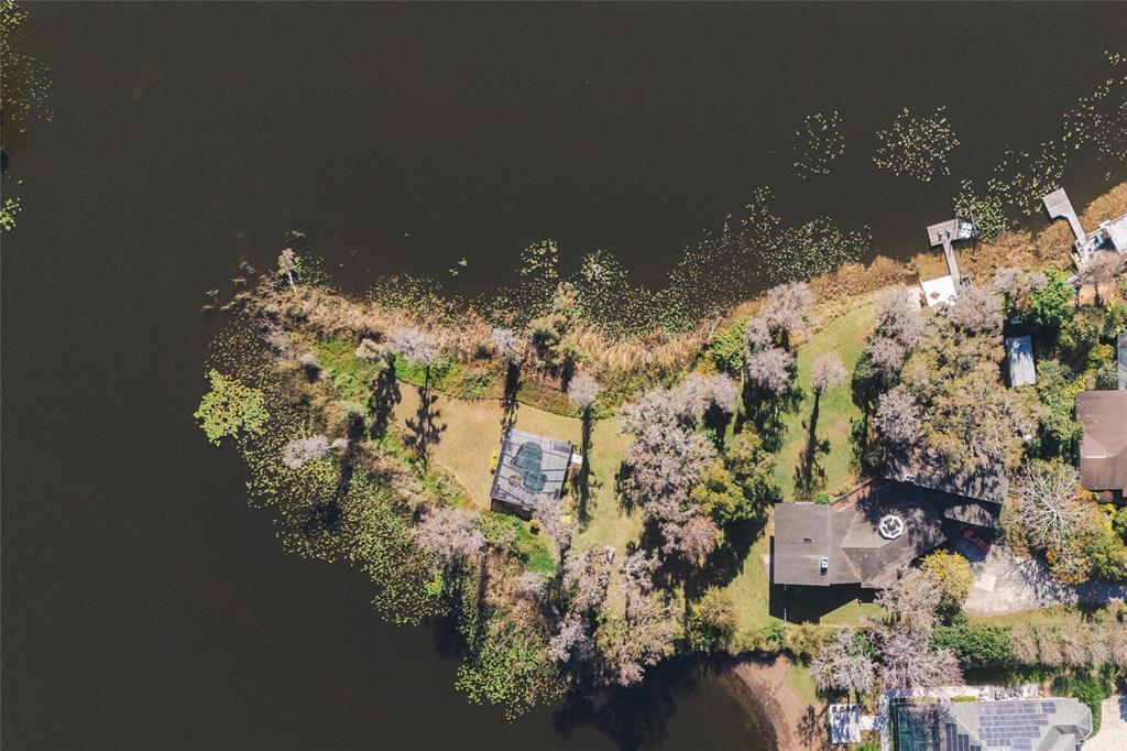 602 Druid Way Lutz, FL 33548 - Photo 81 of 81