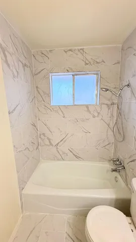 a bathroom with a toilet and a bath tub