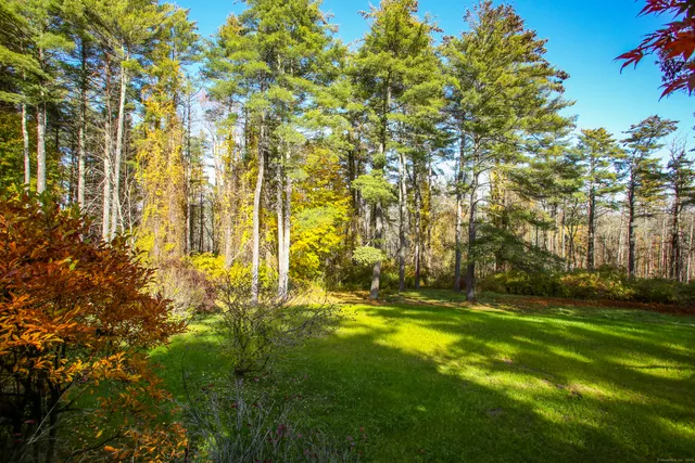 a view of a yard with yellow house