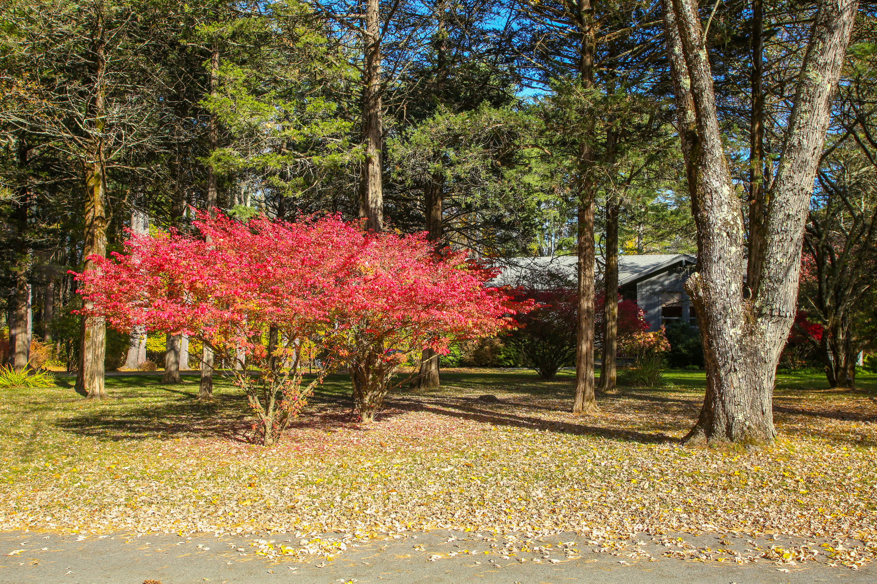 118 Washinee Heights Road Salisbury, CT 06068 - Photo 21 of 31 a view of a yard with yellow house