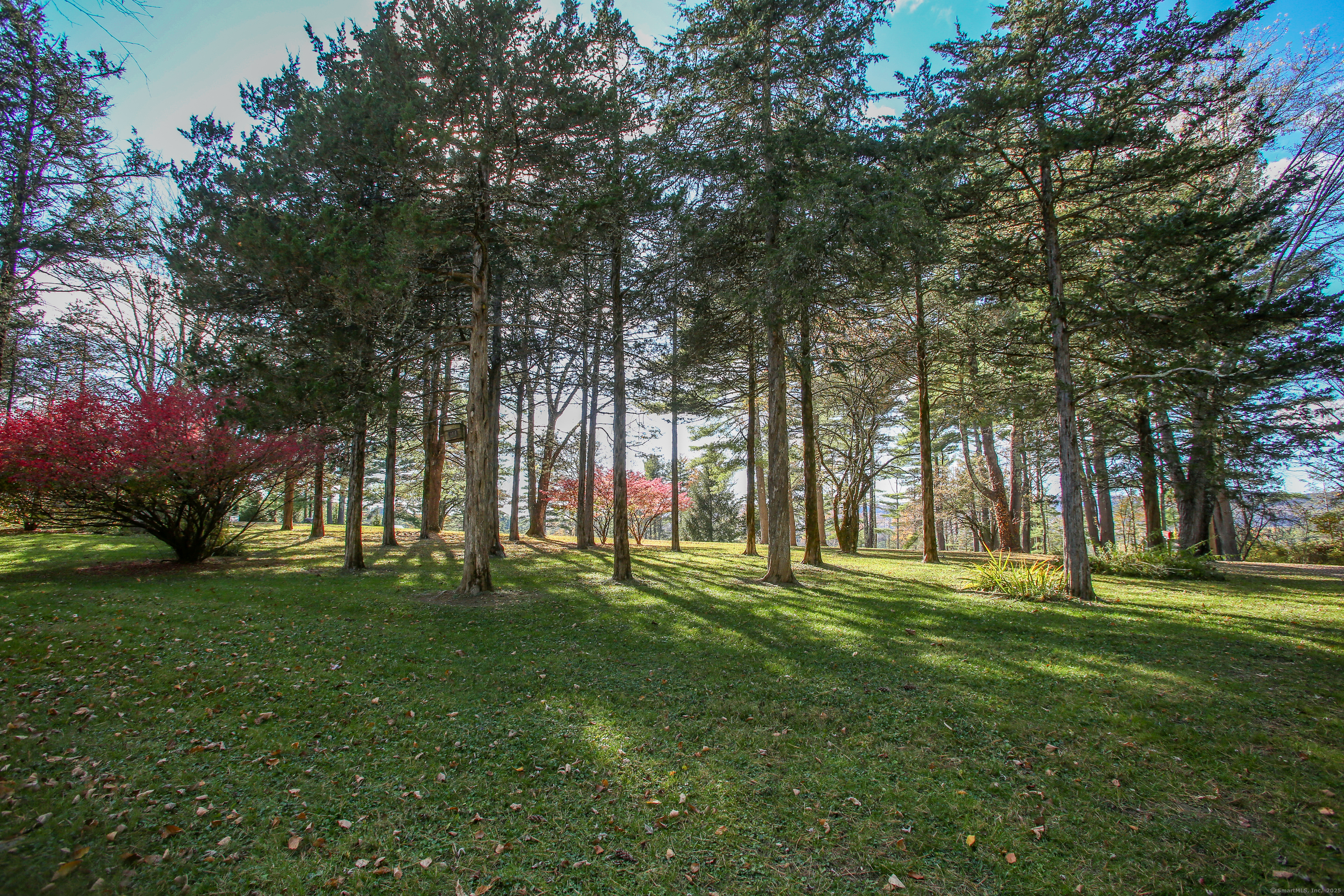 118 Washinee Heights Road Salisbury, CT 06068 - Photo 25 of 31 a big yard with trees
