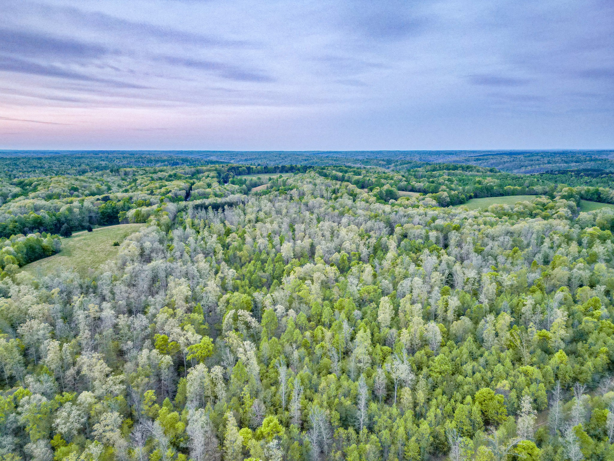 920 Mason Bates Bend Road Centerville, TN 37033 - Photo 76 of 82 Gallery Image 76