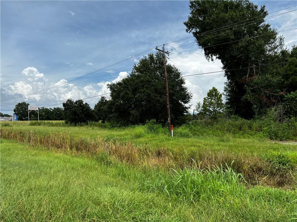 6905 Johnston Street Lafayette, LA 70503 - Photo 13 of 15