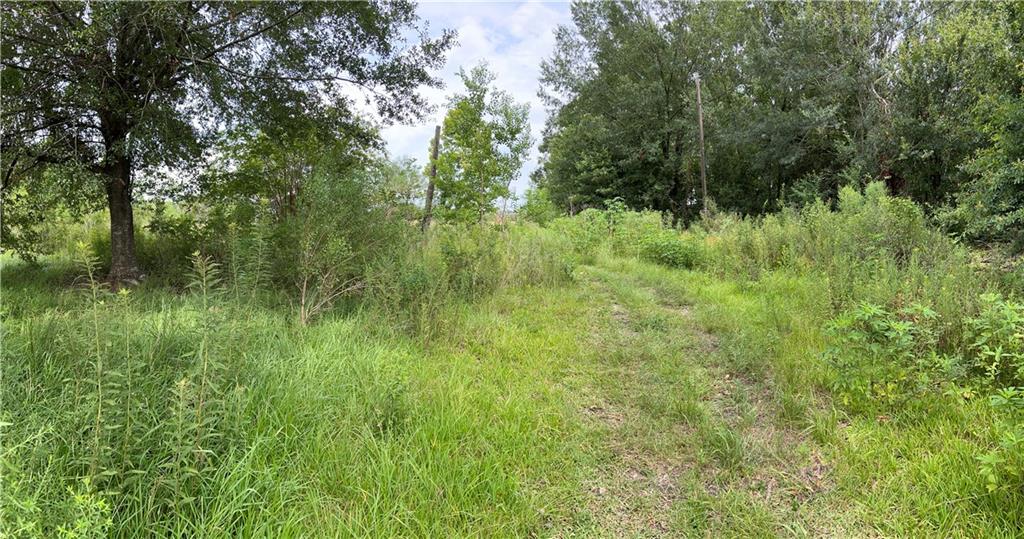 6905 Johnston Street Lafayette, LA 70503 - Photo 10 of 15