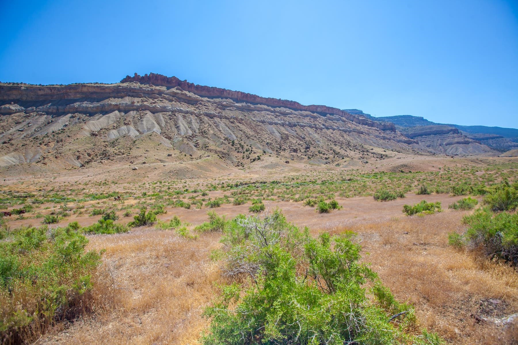 a view of a dry field