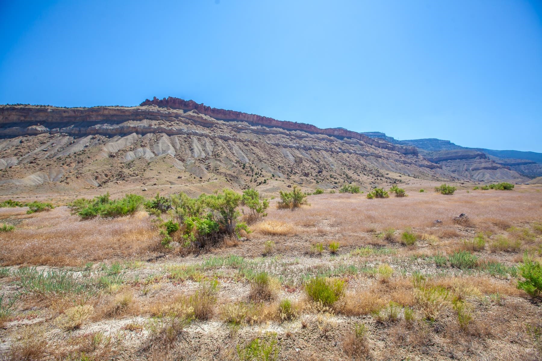 648 39 Road Palisade, CO 81526 - Photo 4 of 23 a view of a dry yard with mountains in the background