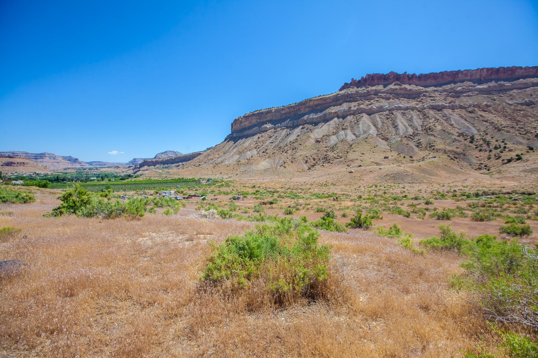 648 39 Road Palisade, CO 81526 - Photo 6 of 23 a view of a road with a yard