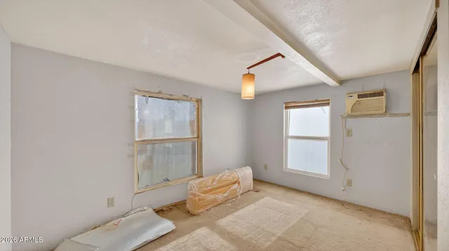 a room with furniture and a potted plant